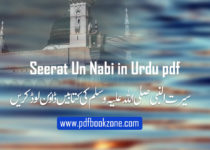 Seerat-Un-Nabi-in-Urdu-pdf