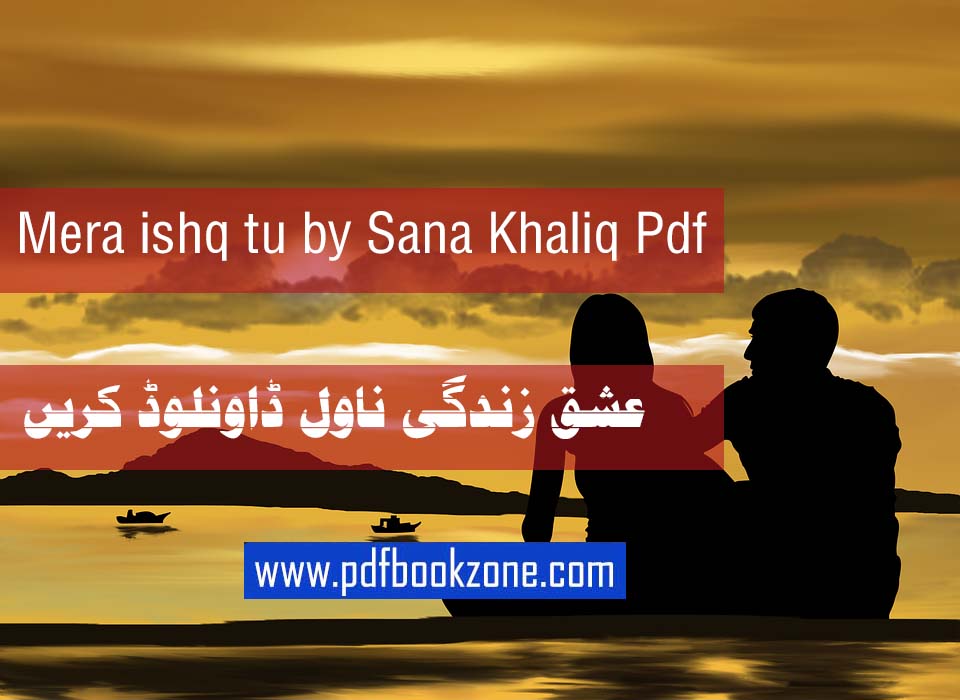 Ishq Zindagi Novel by Sukaina Zaidi Pdf Bookzone