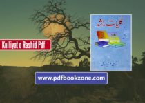 Kulliyat-e-Rashid-by-Noon-Meem-Rashid-pdf