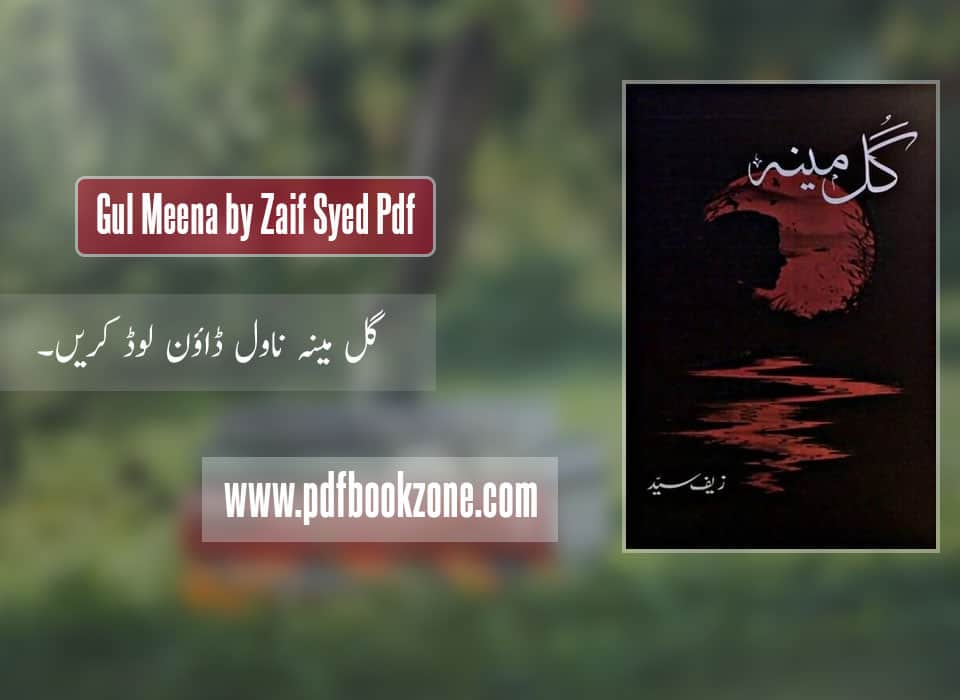 Gul Meena by Zaif Syed pdf Pdf Bookzone